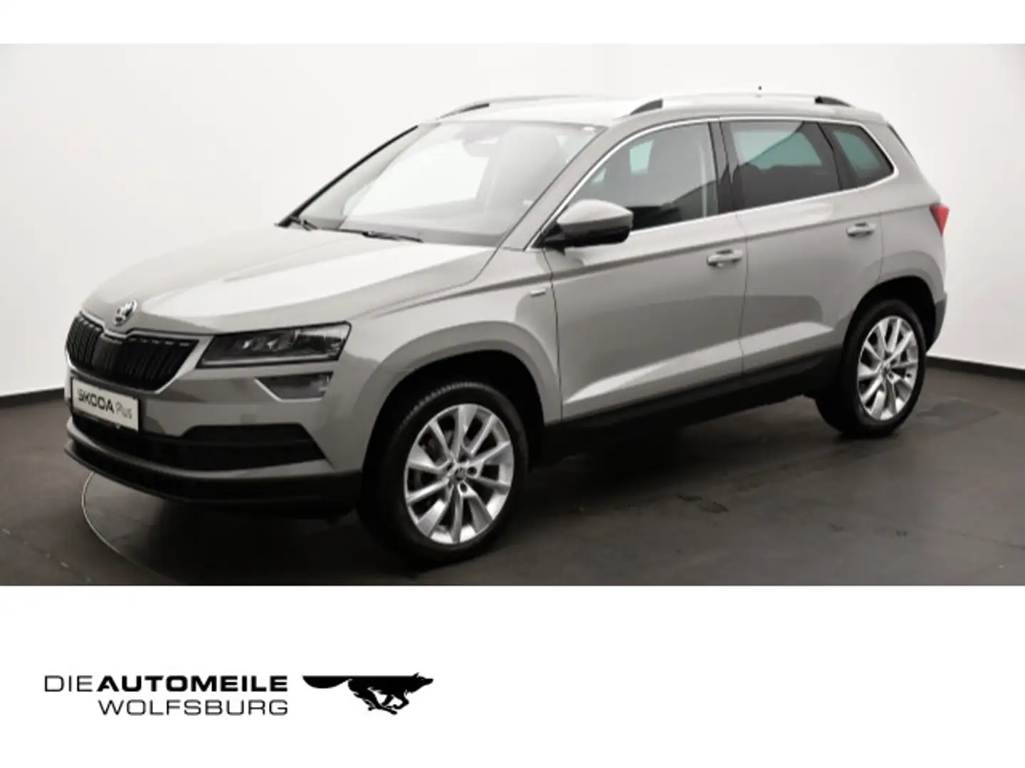 Skoda Karoq 1.0 TSI Clever Tempo/Einparkhi/Multilenk Grau - 1