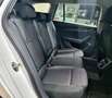 Skoda Octavia Wagon 2.0 TDI evo AMBITION 116CV DSG - thumbnail 12