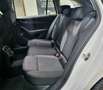 Skoda Octavia Wagon 2.0 TDI evo AMBITION 116CV DSG - thumbnail 11