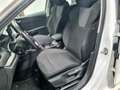 Skoda Octavia Wagon 2.0 TDI evo AMBITION 116CV DSG - thumbnail 10