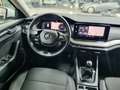 Skoda Octavia Wagon 2.0 TDI evo AMBITION 116CV DSG - thumbnail 8