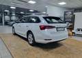 Skoda Octavia Wagon 2.0 TDI evo AMBITION 116CV DSG - thumbnail 4
