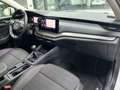 Skoda Octavia Wagon 2.0 TDI evo AMBITION 116CV DSG - thumbnail 6