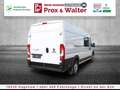 Fiat Ducato 35 Maxi L5H2 Doka 7-SITZER+270°TÜREN Weiß - thumbnail 6