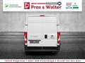 Fiat Ducato 35 Maxi L5H2 Doka 7-SITZER+270°TÜREN Weiß - thumbnail 5