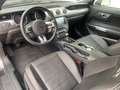 Ford Mustang V8 GT, Schalter, 1. Hand in D, wenig km, 55years Grau - thumbnail 7