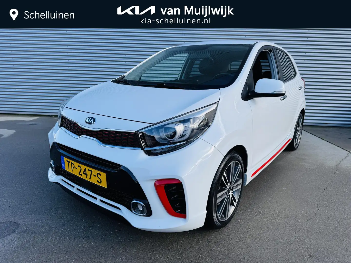 Kia Picanto 1.0 T-GDI GT-Line Stoel&Stuurverwarming | Clima | Wit - 1