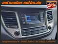 Hyundai TUCSON 2.0 CRDi 4WD STANDHZG+KLIMA FON AHK LMR Gris - thumbnail 16
