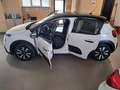 Citroen C3 PureTech 110 S&S Max Bianco - thumbnail 4