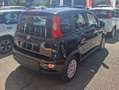 Fiat Panda Panda 1.0 firefly hybrid s Nero - thumbnail 3