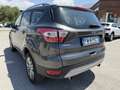 Ford Kuga 2.0 tdci Titanium 2wd s&s 120cv E6 Gris - thumbnail 8