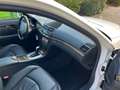 Mercedes-Benz E 500 E 500 Airmatic, dak, memory Blanc - thumbnail 5