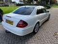 Mercedes-Benz E 500 E 500 Airmatic, dak, memory Blanc - thumbnail 16