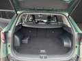 Kia Sportage 1.6 T-GDI 48V AWD DCT Spirit Verde - thumbnail 14