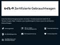 Kia Sportage 1.6 T-GDI 48V AWD DCT Spirit Grün - thumbnail 13