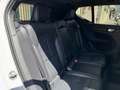 Volvo XC40 2.0 l Tdi 190 CV AWD AdBlue Geartronic 8 R-Design  Blanc - thumbnail 16