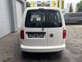 Volkswagen Caddy Kasten DSG Standh. Klima Bot Ausbau Weiß - thumbnail 6