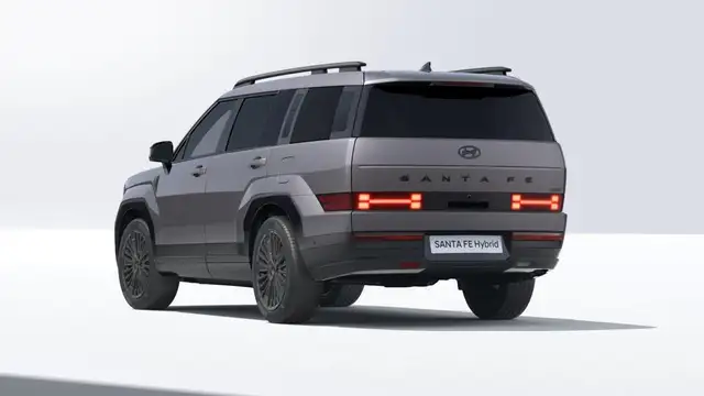 Hyundai Santa FE view 4
