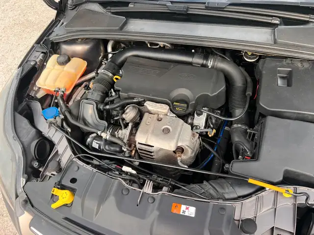 Ford Focus view 7