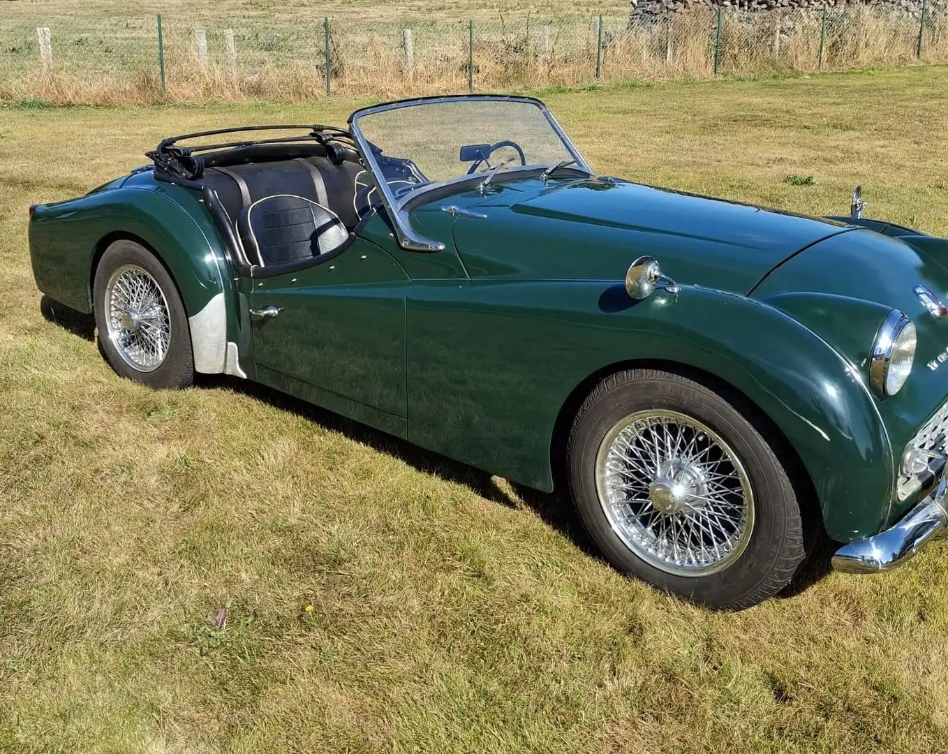 Triumph TR3 Grün - 1