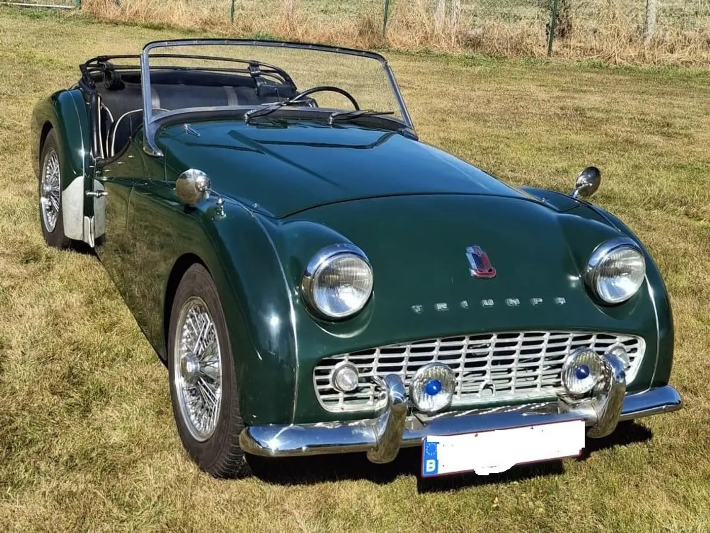 Triumph TR3 Grün - 2
