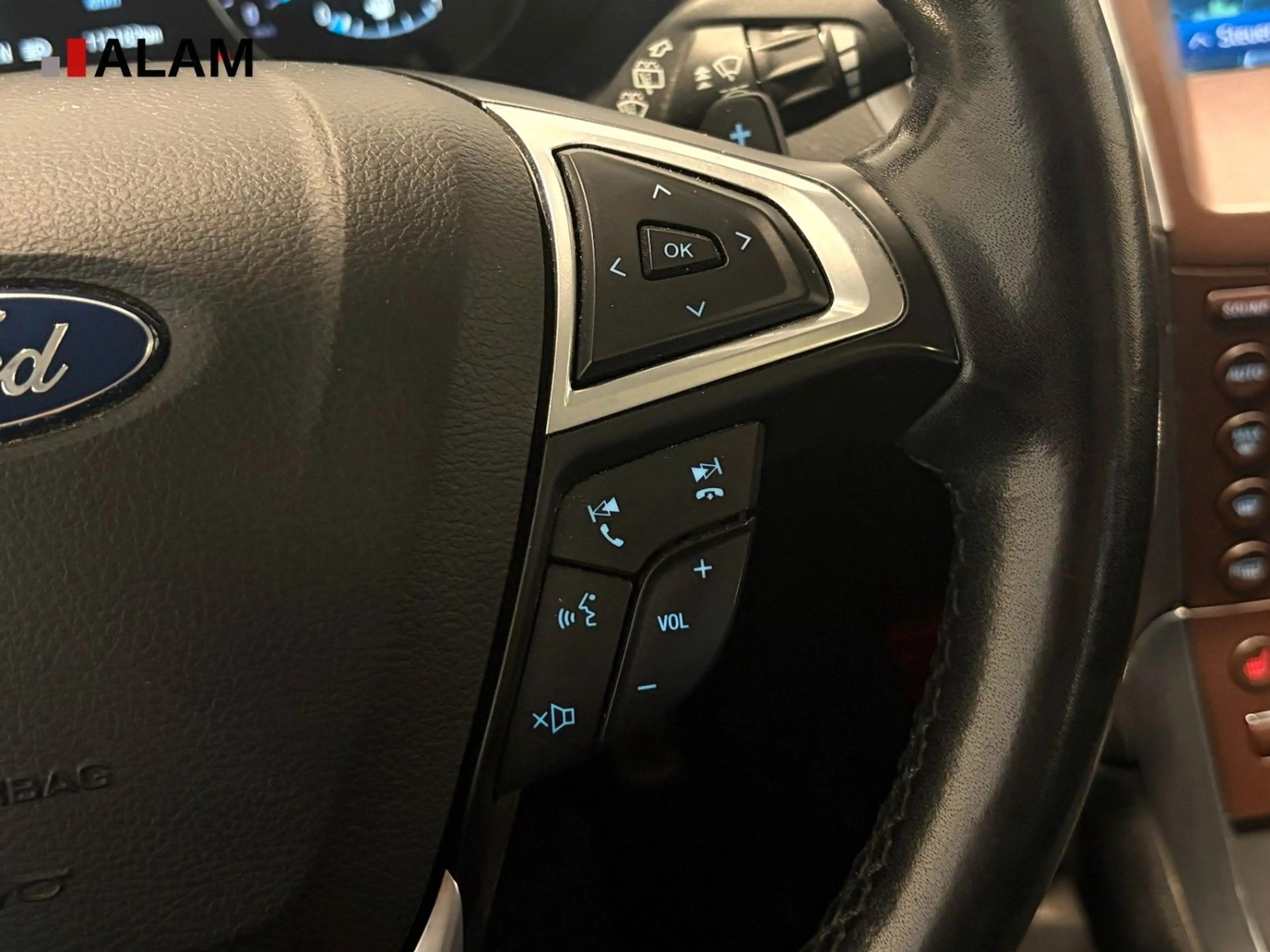 Ford Galaxy Titanium ACC AHK Pano RFK Sound 7-Sitzer — photo 15