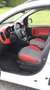 Fiat Panda Panda 1,2 69 Lounge Lounge Weiß - thumbnail 2