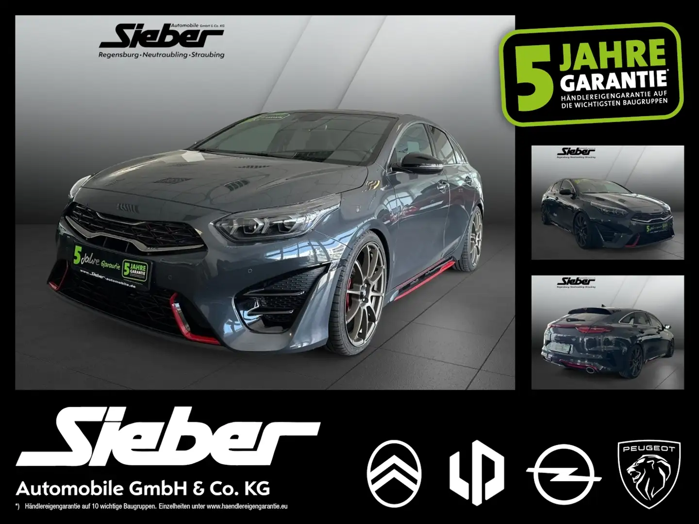 Kia ProCeed / pro_cee'd ProCeed 1.6 T-GDI GT *ACC*Navi*LED*PDC*AHK* Grey - 1