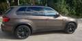 BMW X5 X5 xDrive 40dA Marrón - thumbnail 20