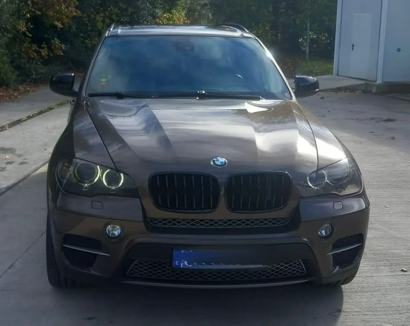 BMW X5 X5 xDrive 40dA Marrón - 2
