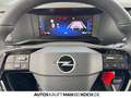 Opel Zafira Life Zafira 2.0 HDI Life AT Navi ACC LED Klimaat. Klima Gris - thumbnail 22