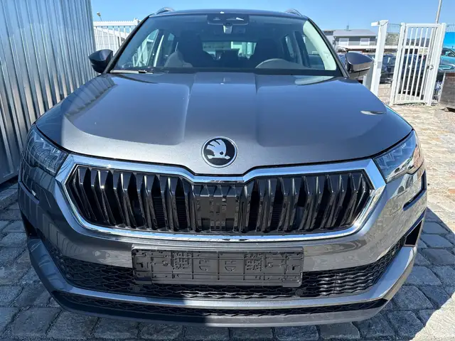 Skoda Karoq view 2