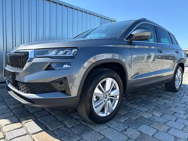Skoda Karoq in Grey for sale