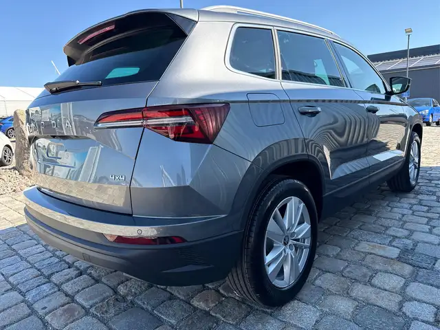 Skoda Karoq view 6