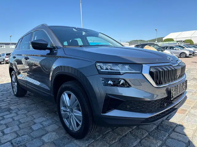 Skoda Karoq view 3