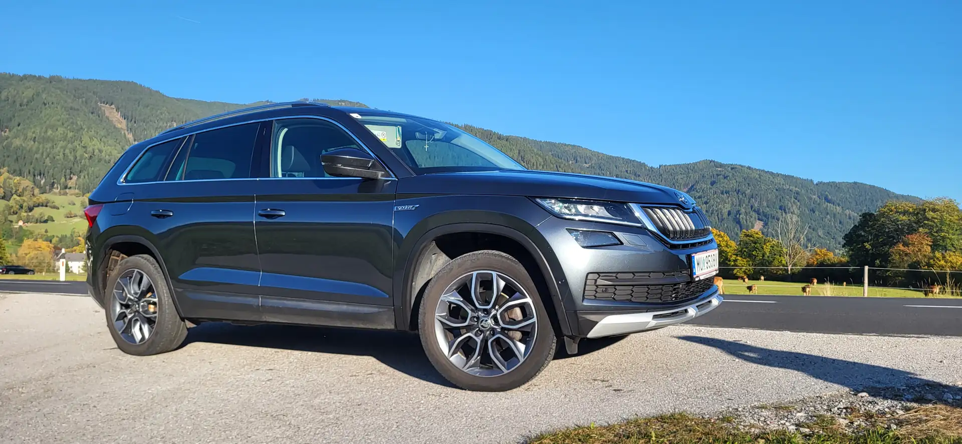 Skoda Kodiaq Kodiaq 2,0 TDI SCR 4x4 Scout 7 Sitze DSG Scout Grau - 2