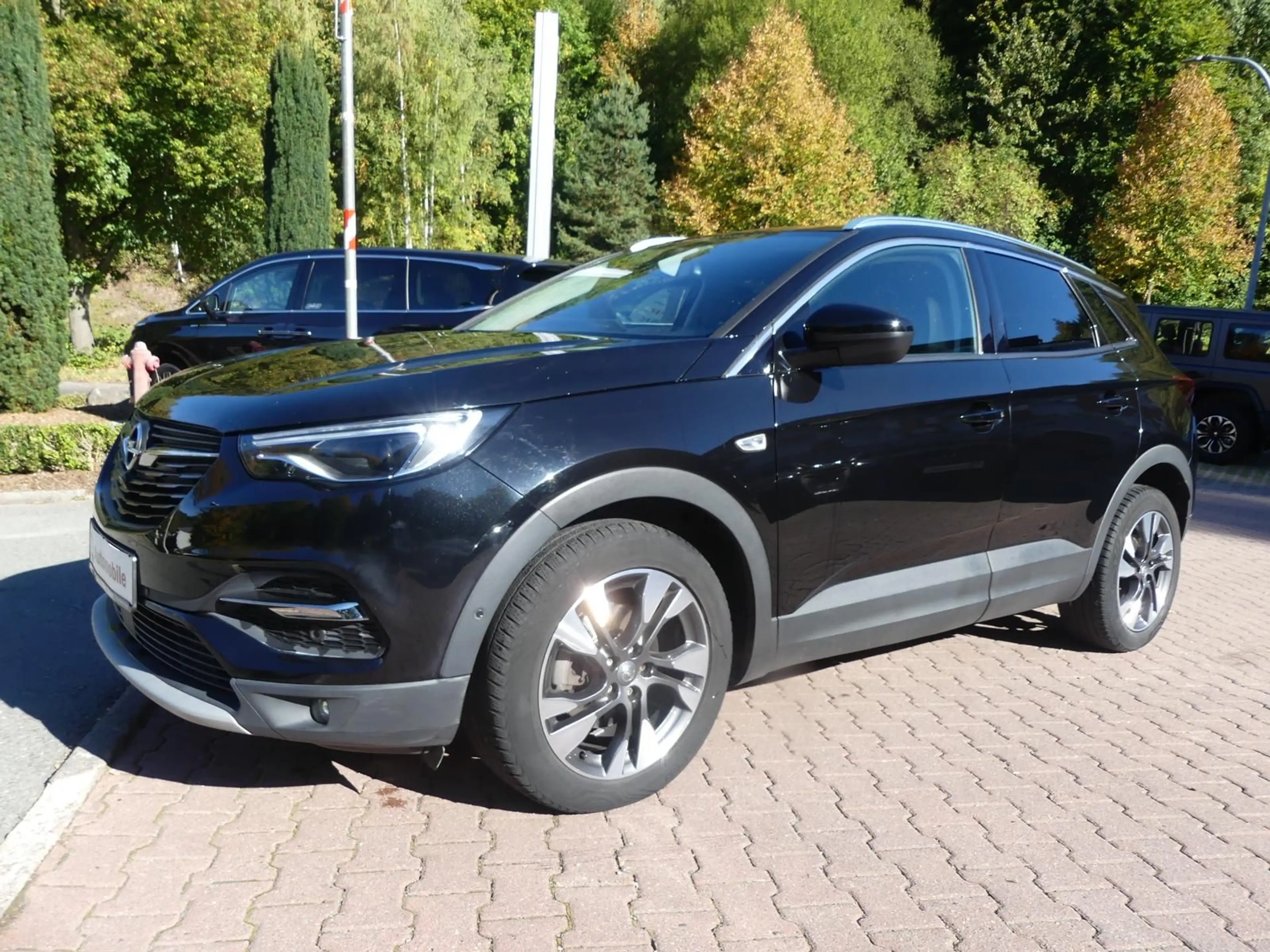 Opel Grandland X *1.2*Leder*Klima*Sitzbel:*LED*Kam