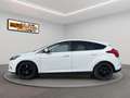 Ford Focus Titanium  Leder  Navi  PDC  AHK Weiß - thumbnail 4