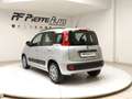 Fiat Panda 3ª serie - Panda 1.2 Lounge Grigio - thumbnail 3