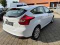 Ford Focus Lim. Titanium Automatik Top Gepflegt Weiß - thumbnail 6