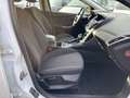 Ford Focus Lim. Titanium Automatik Top Gepflegt Weiß - thumbnail 10