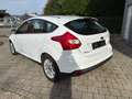 Ford Focus Lim. Titanium Automatik Top Gepflegt Weiß - thumbnail 4