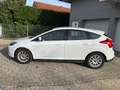 Ford Focus Lim. Titanium Automatik Top Gepflegt Weiß - thumbnail 7