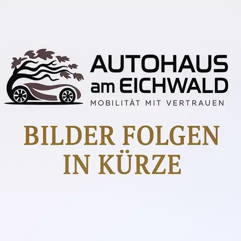 Mercedes-Benz B Electric Drive B 250 Electric Drive Standard BiXenon StzHzg