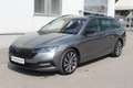 Skoda Octavia Octavia Combi 2,0 TDI 4x4 Styl Gris - thumbnail 1