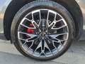 Audi Q3 e-hybrid 200 kW Grau - thumbnail 5