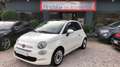 Fiat 500 500 1.2 Lounge *AUTOMATICA ** GPL PREZZO REALE Blanc - thumbnail 1