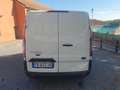 Ford TRANSIT Blanc - thumbnail 4