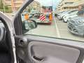 Fiat Panda Panda 1.2 Lounge LED PDC CERCHI 15 Argento - thumbnail 9
