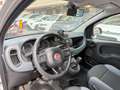 Fiat Panda Panda 1.2 Lounge LED PDC CERCHI 15 Argento - thumbnail 8